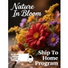 Fall Flower Bulb Fundraiser Program