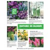Flower Bulb Fundraiser Program