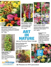 Art In Nature Flower Bulbs