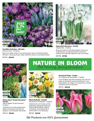 Flower Bulb Fundraiser Program